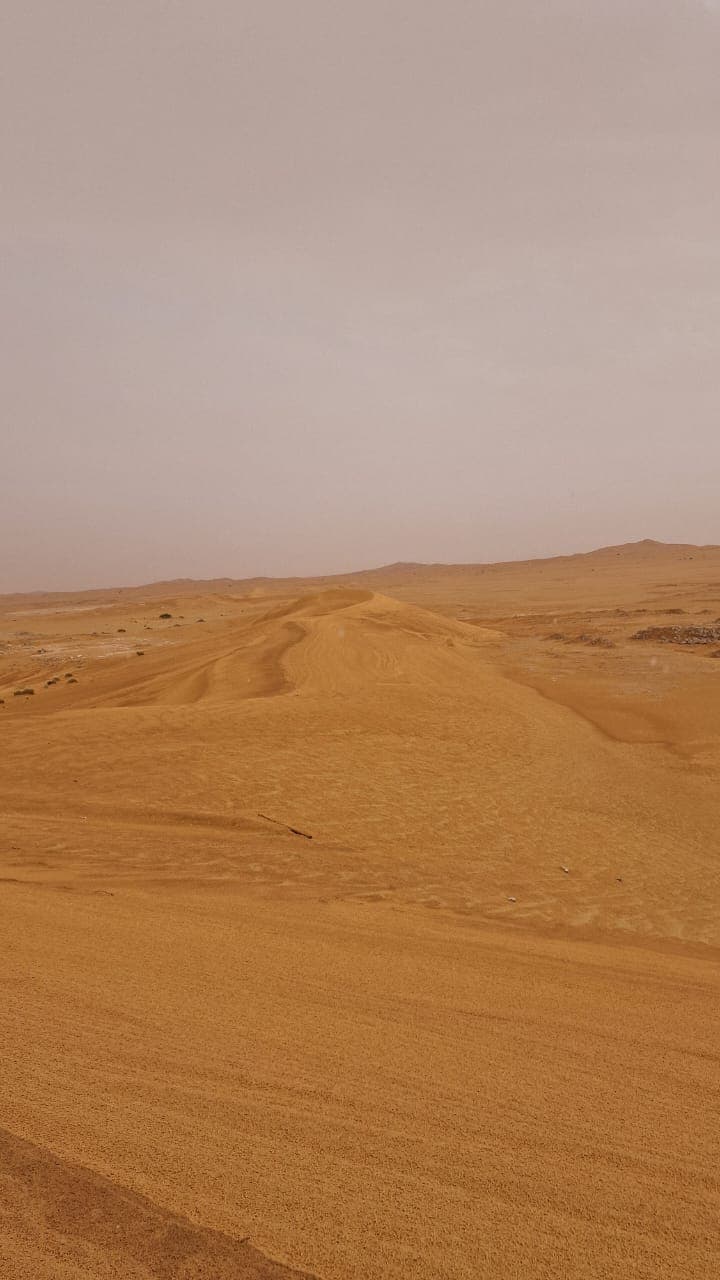 Installation et support terrain GPS Energy